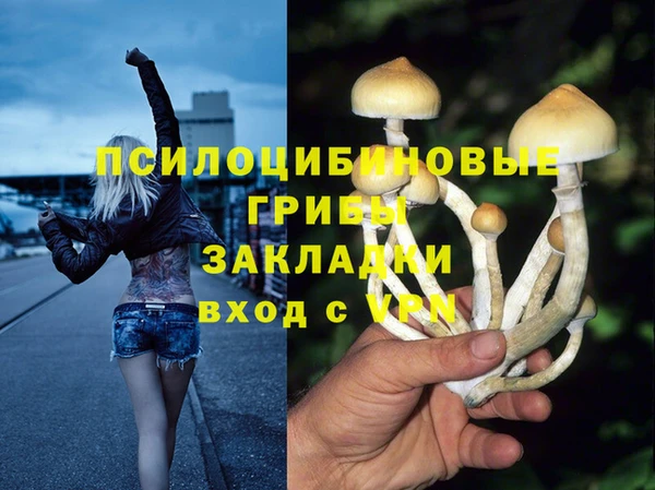 СК Сатка